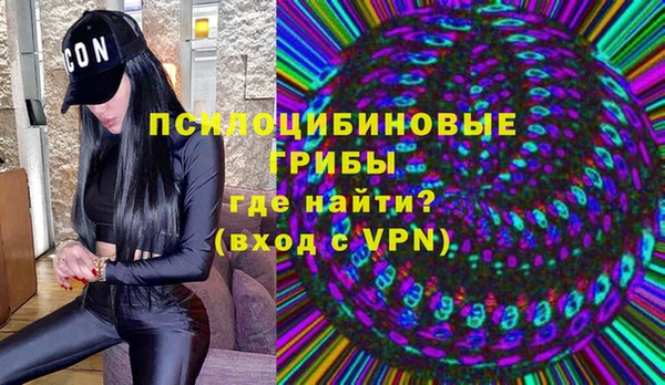 молекула духа Аркадак