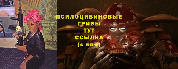 молекула духа Аркадак