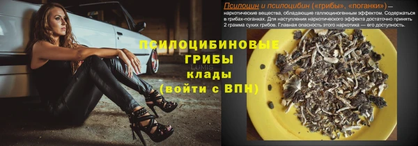 ПСИЛОЦИБИНОВЫЕ ГРИБЫ Армянск