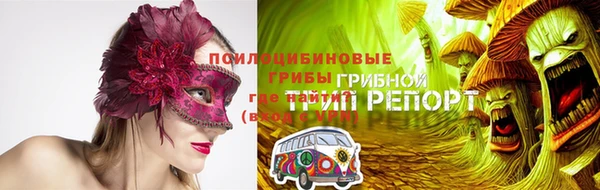 молекула духа Аркадак
