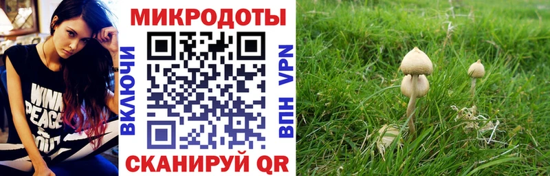 наркошоп  Свободный  Галлюциногенные грибы Magic Shrooms 